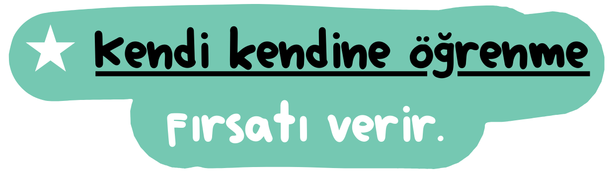 Kendi kendine öğrenme fırsatı verir.