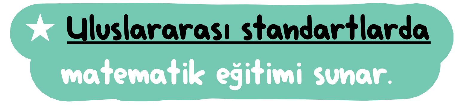 Uluslararası standartlarda matematik eğitimi sunar.
