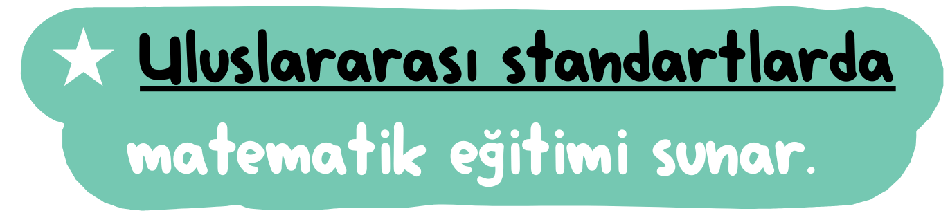 Uluslararası standartlarda matematik eğitimi sunar.